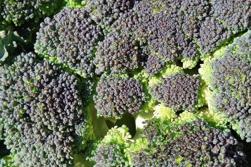 Ile kalorii ma brokuł?