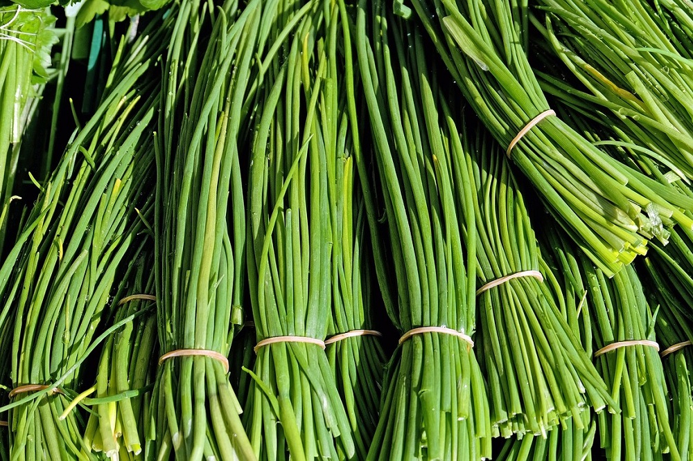 Ile kalorii ma szczypiorek?