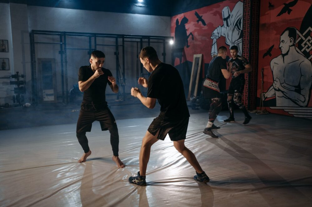 Sztuki walki: różnorodność i filozofia